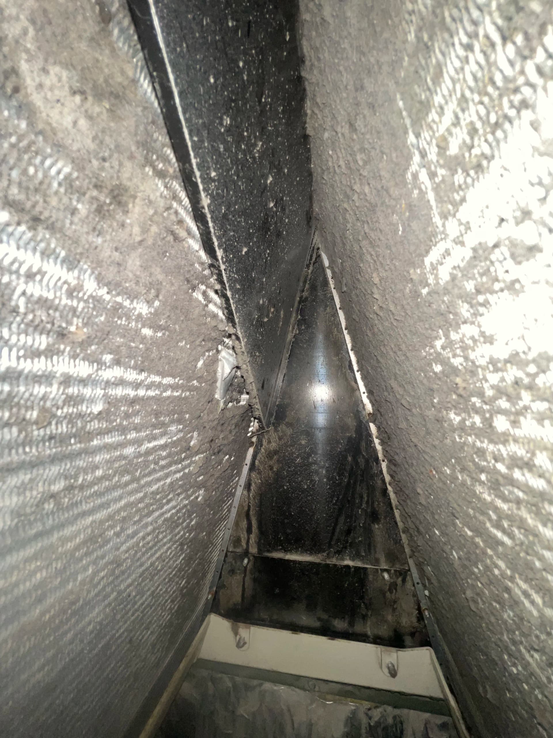 Gallery photos for What a Dirty Evaporator Coil Actually Looks Like: Image #1