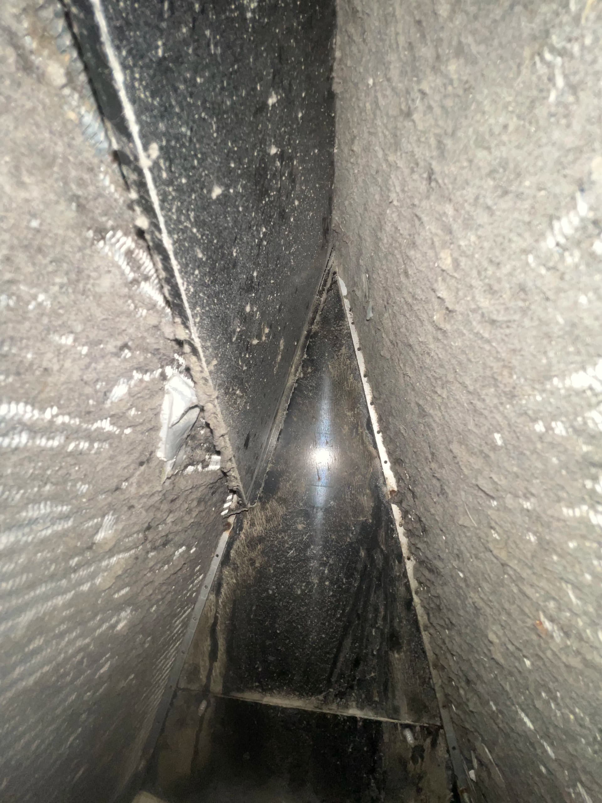 Gallery photos for What a Dirty Evaporator Coil Actually Looks Like: Image #2